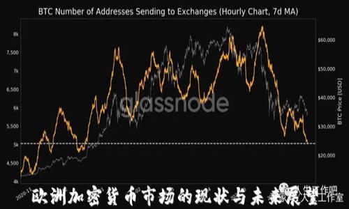 
欧洲加密货币市场的现状与未来展望