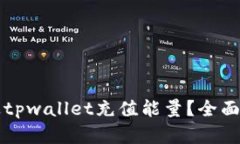 如何通过tpwallet充值能量？全面实用指南