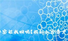 tpwallet被盗警察能找回吗？揭秘加密资产盗窃的处