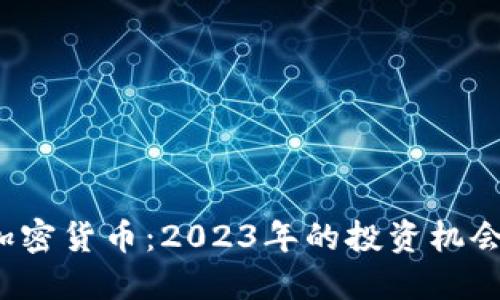  风口加密货币：2023年的投资机会与挑战