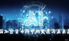 美国加密货币阵营的发展与未来展望