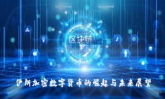 伊朗加密数字货币的崛起与未来展望