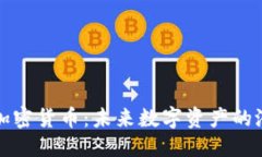 优质守望黎明加密货币：未来数字资产的潜力与