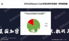深入解析美国加密货币体系：现状、挑战与未来