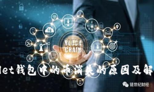 tpWallet钱包中的币消失的原因及解决方案