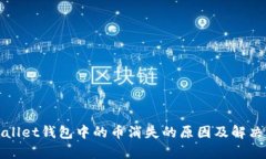 tpWallet钱包中的币消失的原因及解决方案