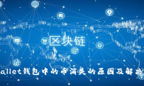 tpWallet钱包中的币消失的原因及解决方案