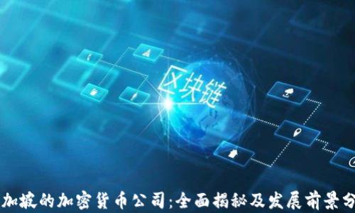 
新加坡的加密货币公司：全面揭秘及发展前景分析