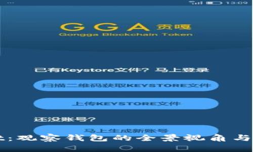 TPWallet：观察钱包的全景视角与实用指南
